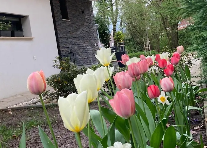 Appartement Peace Of Mind